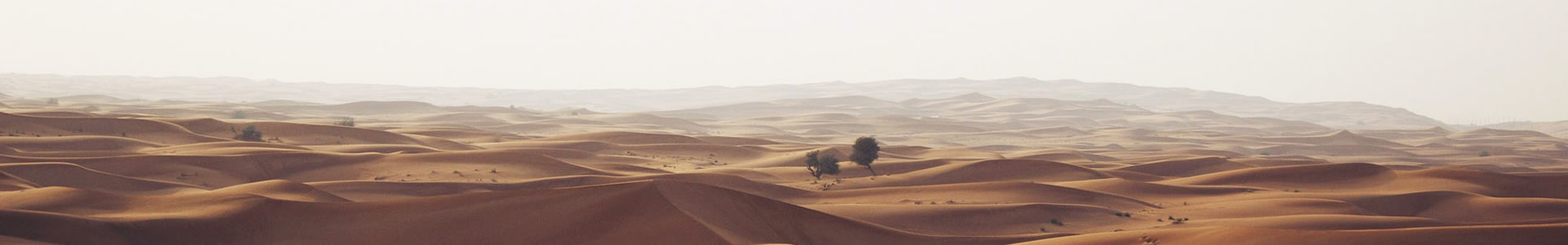 ݸ̨ܻе޹˾